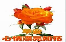 明天最好的祝福早上好图片