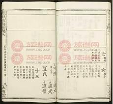 魏氏字辈查询